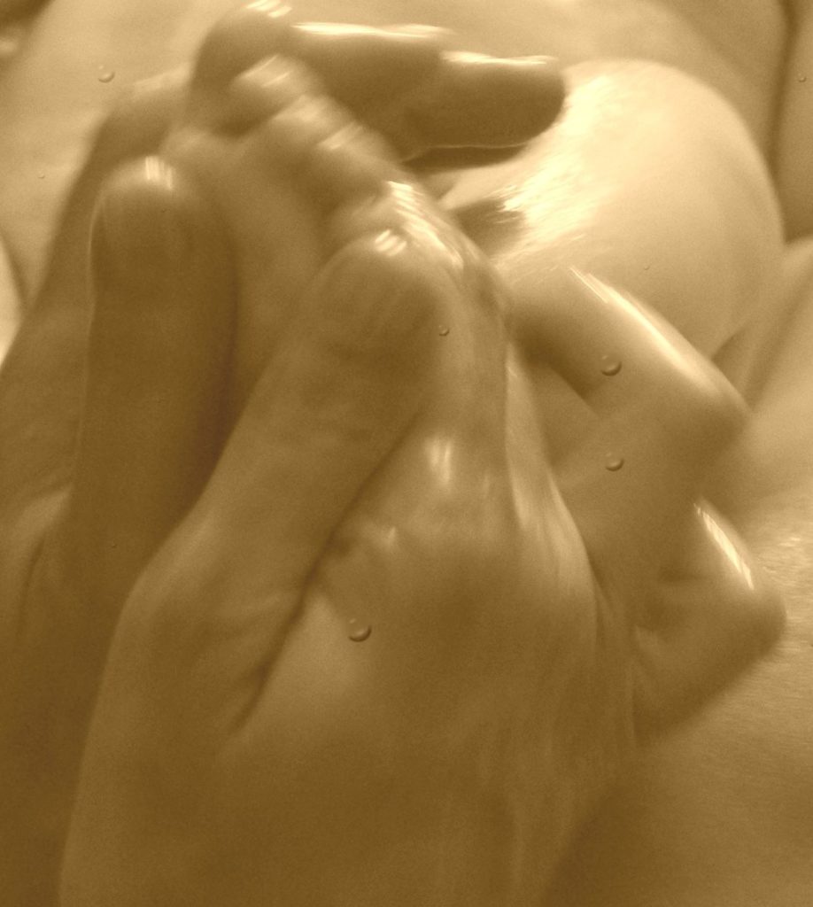 SONY DSC